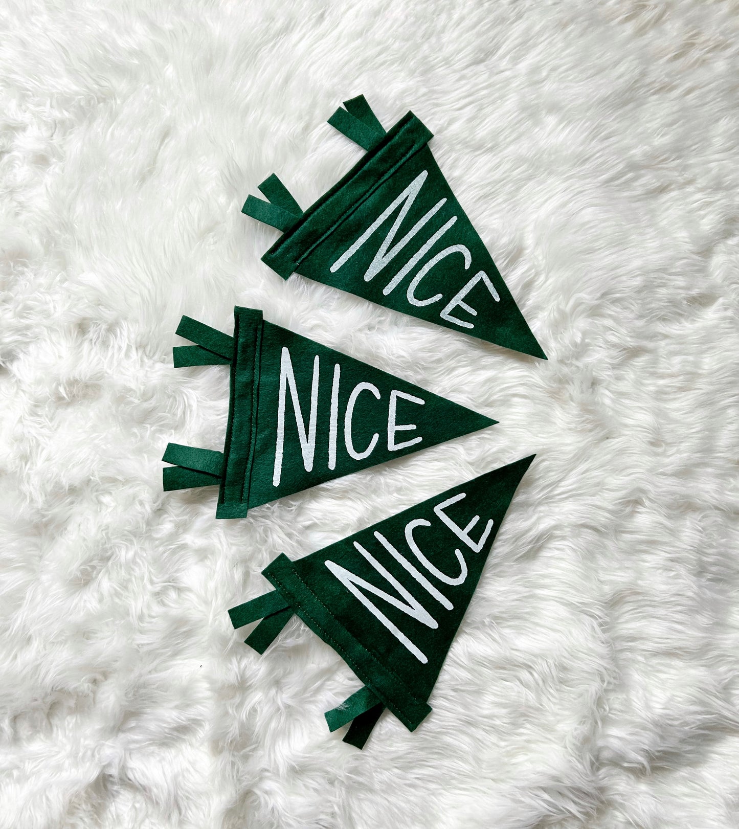 “Nice” Green Flag - Medium